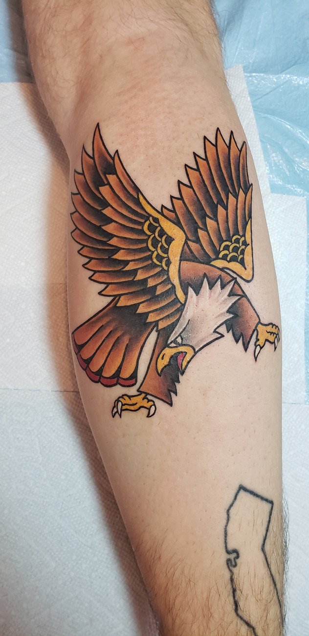 American Traditional, Animal, Color tattoo by Lacey McClellan